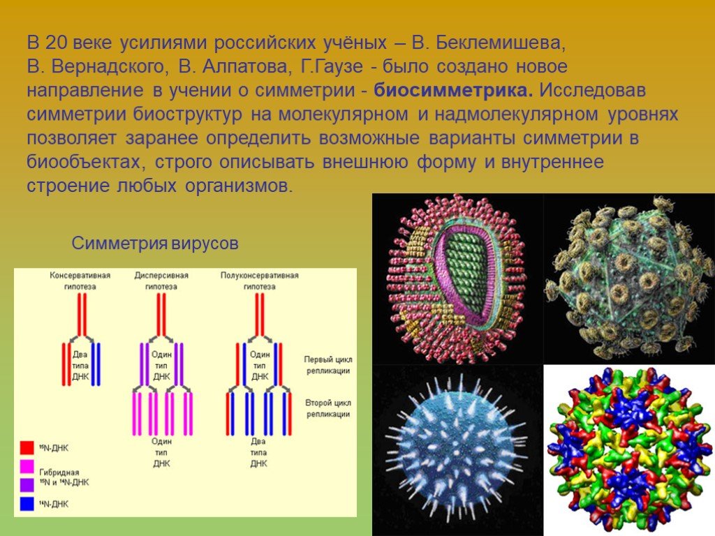 Симметрия в химии презентация