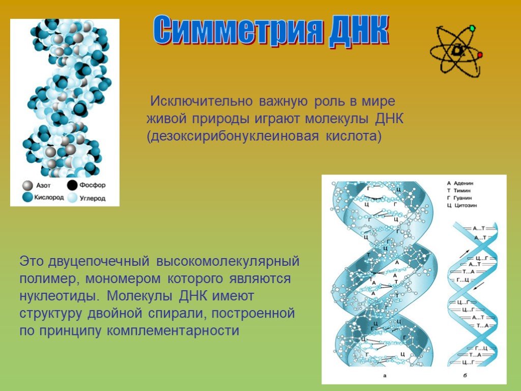 Симметрия в химии презентация