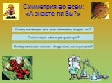 Симметрия во всем: «А знаете ли Вы?». Почему мы находим одни вещи красивыми, а другие нет? Сколько видов симметрии существует? Почему симметрия помогает обнаруживать месторождения?