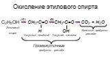 Окисление этилового спирта. C2H5OH ( O ) CH3-C=O H (O) OH CO2 + H2O Этиловый спирт. Уксусный альдегид. Уксусная кислота. Промежуточные продукты распада. Конечные продукты распада