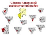 Северо-Кавказский экономический район