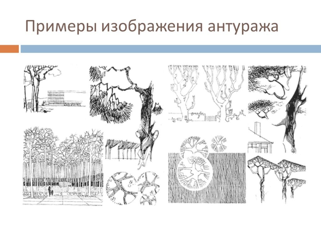 Антураж что это значит простыми словами. Архитектурная Графика антураж и стаффаж. Стаффаж деревья архитектурная Графика. Антураж деревья архитектурная Графика. Стаффаж и антураж в проектной графике.