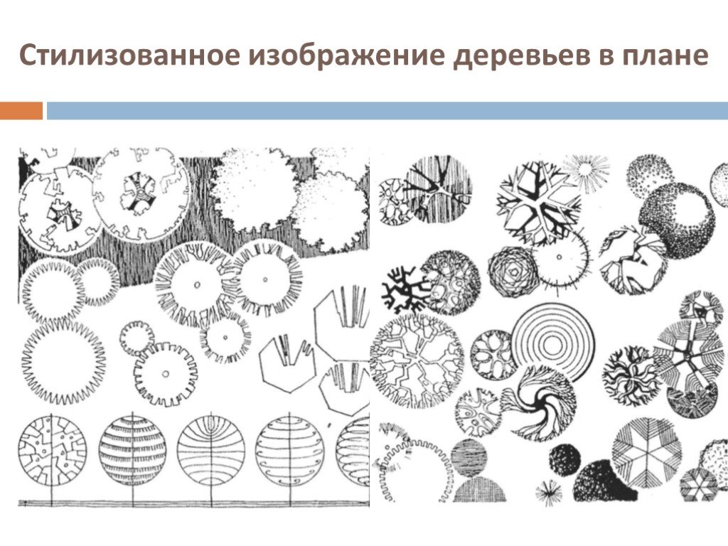 Графические изображения на планах. Антураж стаффаж деревья с верху. Архитектурная Графика деревья в плане. Стилизованные изображения деревьев план. Антураж деревья план.