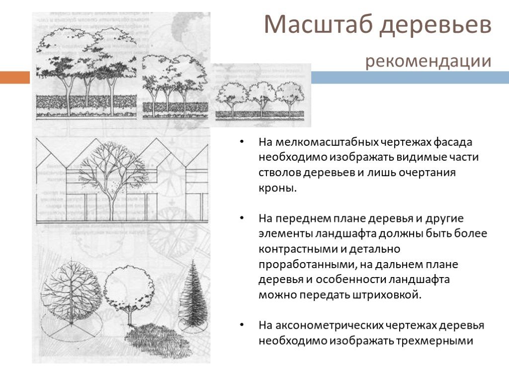 Компоненты ландшафта