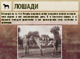 ЛОШАДИ. Несмотря на то, что Вторую мировую войну называли войной моторов, кони играли в ней немаловажную роль. И в Советской Армии, и в вермахте лошадей применяли и как транспортную силу, особенно в артиллерии.