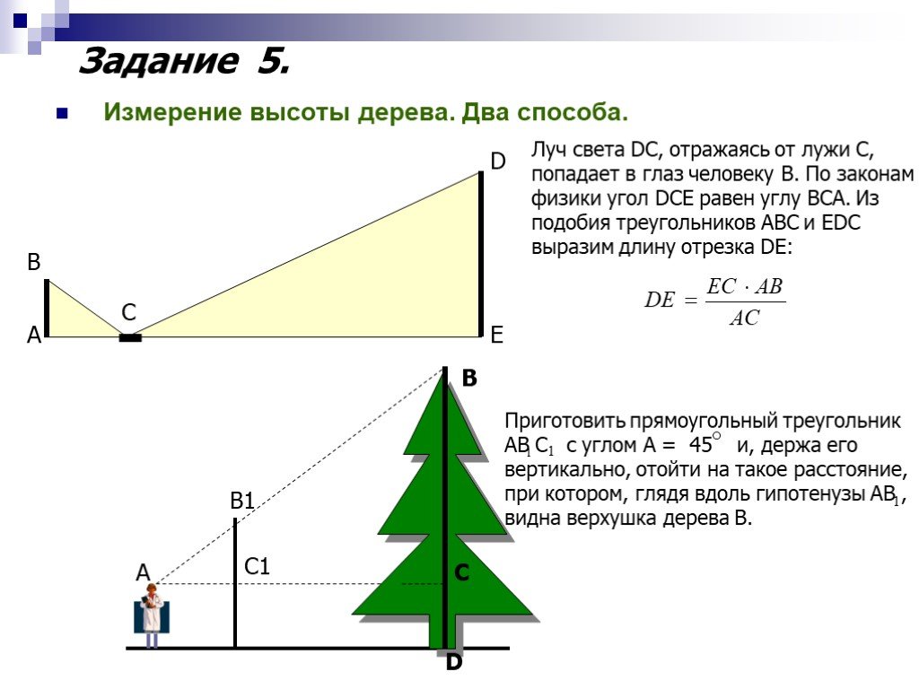 Для определения высоты башни можно использовать зеркало как показано на рисунке луч света dc