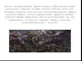 Большая часть произведений Врубеля хранится в Третьяковской галерее. Значительные коллекции его работ находятся в Русском музее Санкт-Петербурга и Киевском музее русского искусства. Третьяковское собрание отличается особенно высоким художественным уровнем и полнотой. Творчество Врубеля представлено 