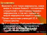 Цель проекта: Выяснить, кто такие неформалы, какие виды и течения бывают, познакомить слушателей с некоторыми видами неформалов, а так же с одним из видов неформалов нашего города. Проект выполнен ученицей 10 А класса школы № 7 г. Сальска - Рыбцовой Викторией и руководитель – преподаватель английско