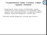 Государственный надзор и контроль в сфере трудовых отношений. Государственный надзор и контроль за соблюдением трудового законодательства и иных нормативных актов, содержащих нормы трудового права, всеми работодателями на территории Российской Федерации осуществляет федеральная инспекция труда. Осно