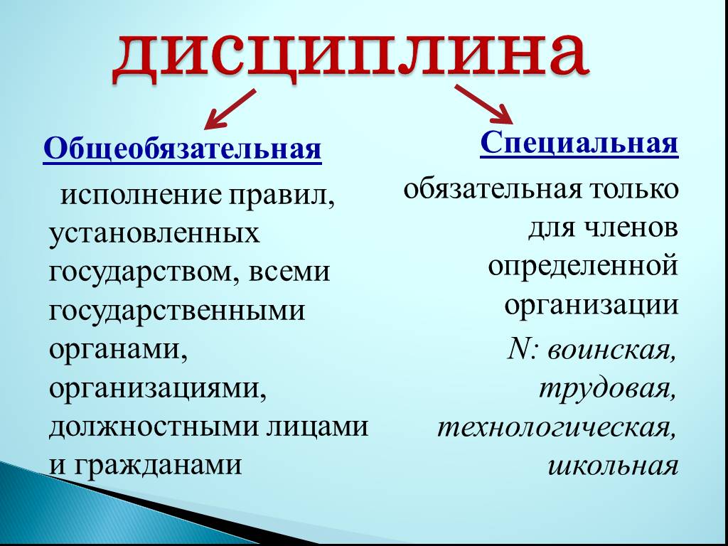 Презентация что такое дисциплина 7 класс обществознание