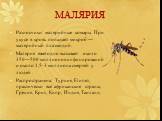 МАЛЯРИЯ. Разносчики: малярийные комары. При укусе в кровь попадает микроб — малярийный плазмодий. Малярия ежегодно вызывает около 350—500 миллионов инфицирований и около 1,5-3 миллиона смертей у людей . Распространена: Турция, Египет, практически все африканские страны, Греция, Крит, Кипр, Индия, Та