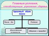 Главные условия, способствующие укреплению здоровья