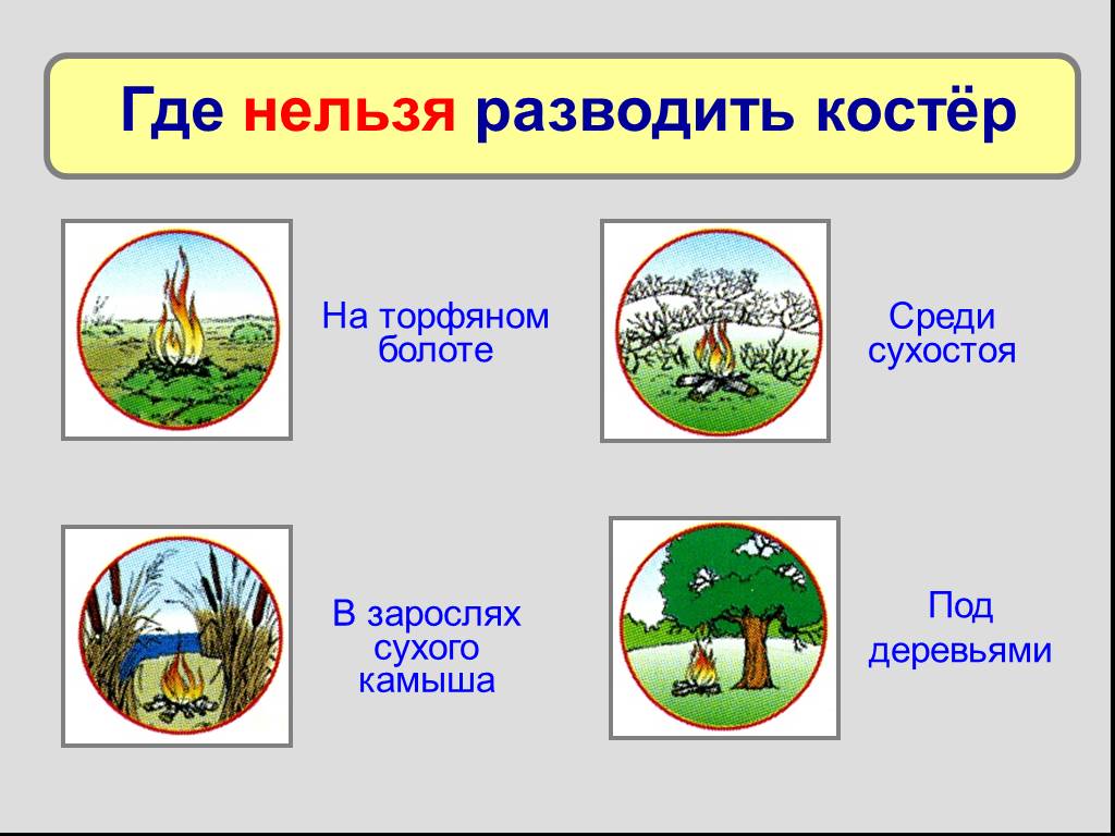 Нельзя разводить. Где нельзя разводить костер. Гле нельзя разводить костёр. Где нельз разводить костёр?. Шден нельзя разводить костёр.