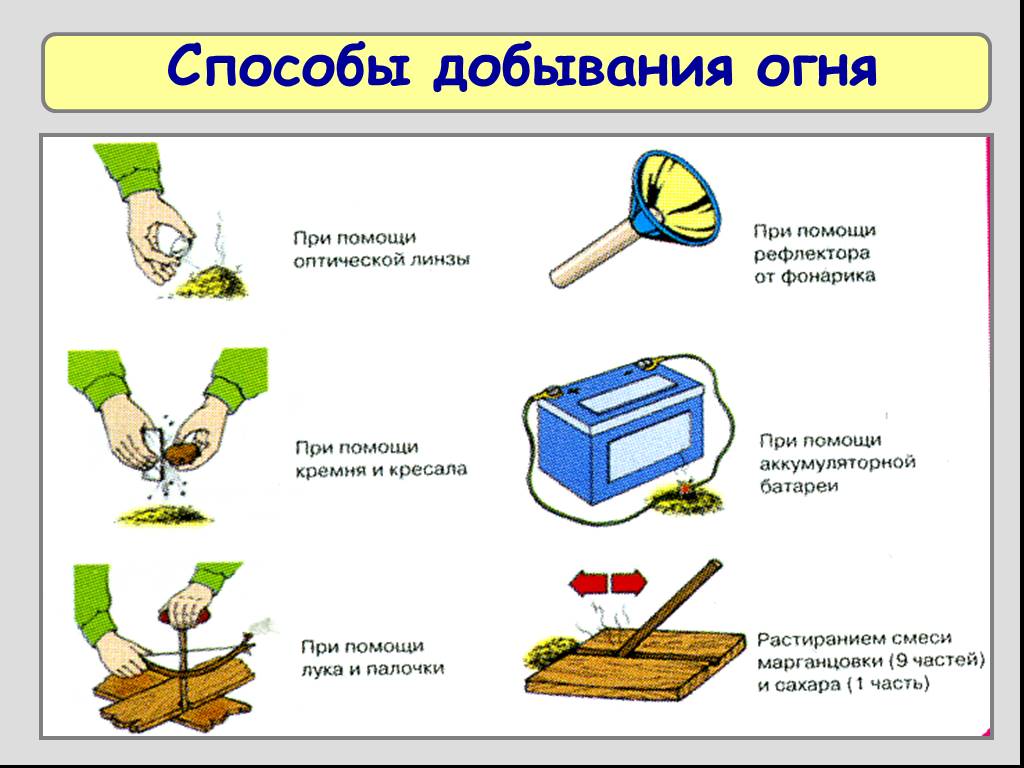 Способы выживания в лесу презентация