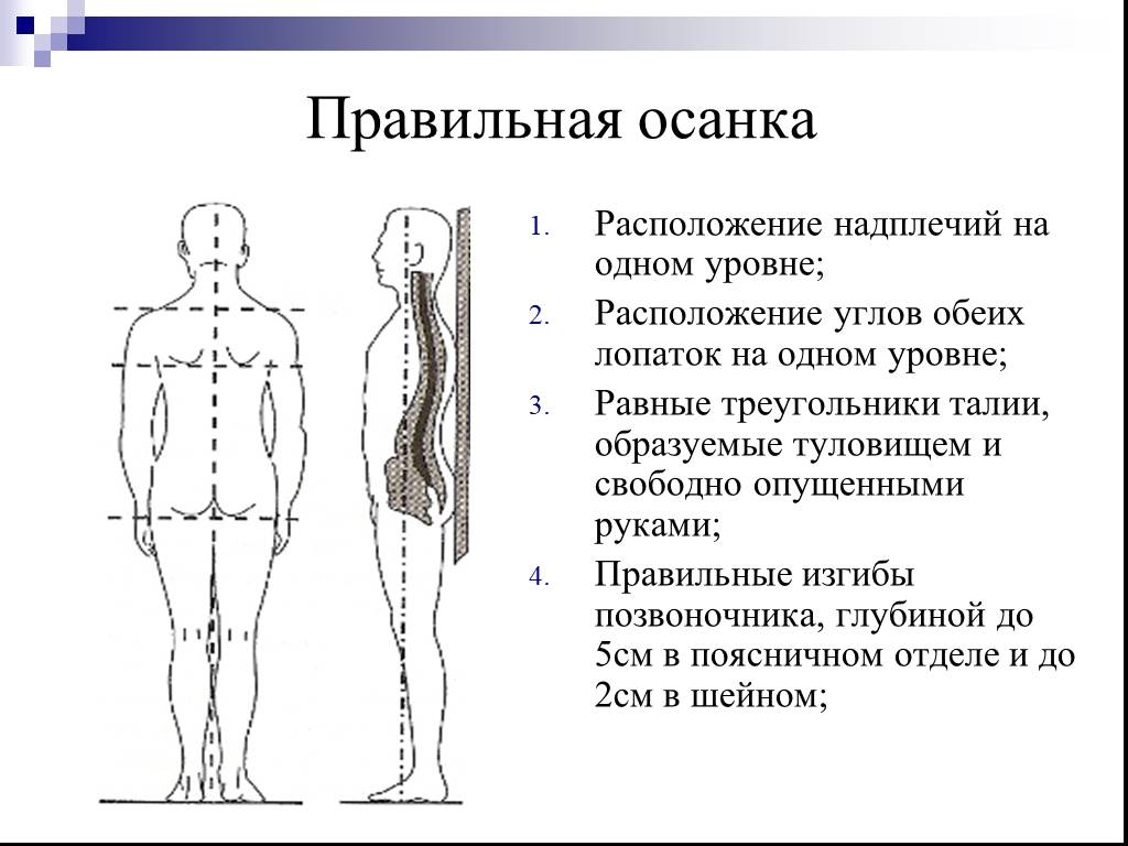 Тестовая карта для выявления нарушений осанки