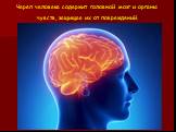 Череп человека содержит головной мозг и органы чувств, защищая их от повреждений.