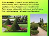 Топиар (англ. topiary) происходит от латинского слова topiarius и означает «садовник ландшафтного орнамента». Топиарами называют зеленые скульптуры для оформления садовых ландшафтов.