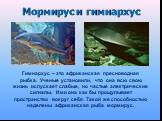 Мормирус и гимнархус. Гимнархус – это африканская пресноводная рыбка. Ученые установили, что она всю свою жизнь испускает слабые, но частые электрические сигналы. Ими она как бы прощупывает пространство вокруг себя. Такой же способностью наделены африканская рыба мормирус.