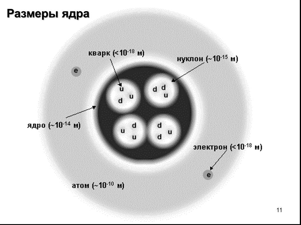 Ядро атома нуклоны изотопы. Размер ядра атома. Строение ядра атома. Размер кварка и электрона. Строение атома кварки.