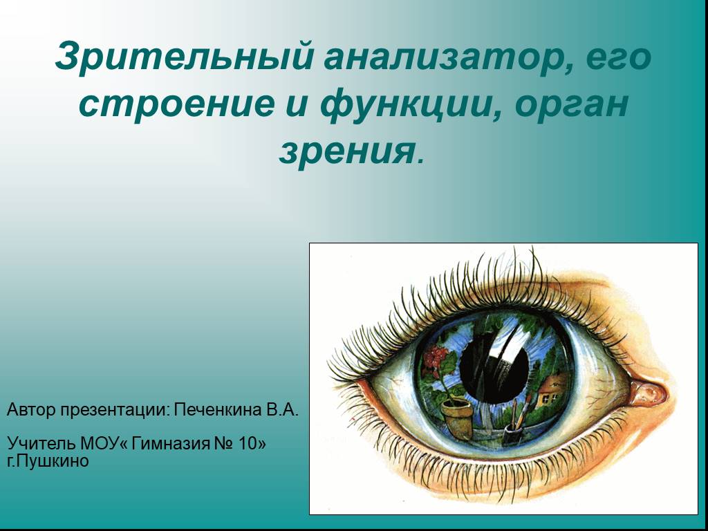 Что такое зрительный анализатор. Анализаторы зрительный анализатор строение. Орган зрения и зрительный анализатор. Функции органа зрения. Строение зрительного анализатора.