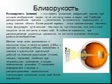 Близорукость. Близорукость (миопия) — это дефект (аномалия рефракции) зрения, при котором изображение падает не на сетчатку глаза, а перед ней. Наиболее распространённая причина — увеличенное (относительно нормального) в длину глазное яблоко. Более редкий вариант - когда преломляющая система глаза ф