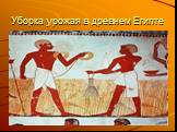 Уборка урожая в древнем Египте
