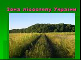 Зона лісостепу України