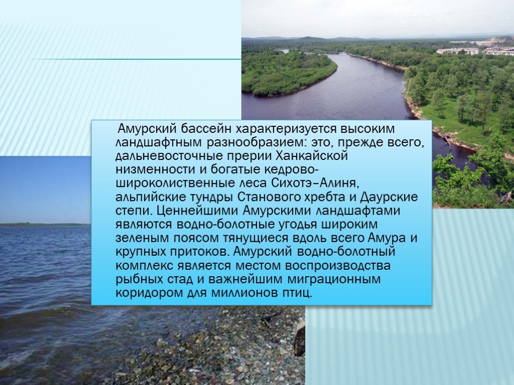 Описать реку амур по плану 6 класс география