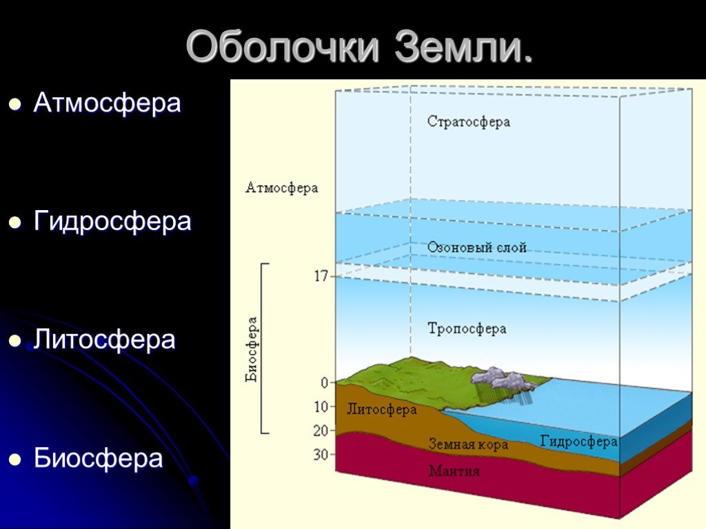 Биосфера рисунок по географии