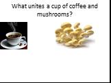 What unites a cup of coffee and mushrooms?