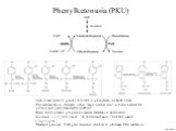 Phenylketonuria (PKU). Autosomal recessive genetic disorder in phenylalaniine hydroxylase Phe accumulation, decreases other ‘large, neutral AAc’ in brain, needed for protein and neurotransmitter synthesis Brain development; progressive mental retardation and seizures Incidence ~1/15,000; varies: 1/4