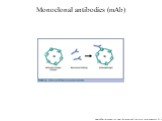 Monoclonal antibodies (mAb)