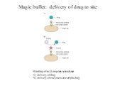 Magic bullet: delivery of drug to site. Binding of mAb requires second step 1) delivery of drug 2) delivery of enzyme to convert pro-drug