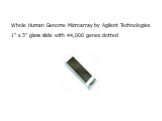Whole Human Genome Microarray by Agilent Technologies 1” x 3” glass slide with 44,000 genes dotted