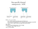 Site-specific directed mutagenesis: hGH. hGH: 191 AAc, 22,1 kDa One of first therapeutic proteins approved for human use Recombinant form produced in E. coli, identical to native pituitary-derived hGH Native binds to growth hormone receptor and prolactin receptor Side effects Prolactin receptor bind