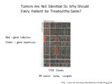 1733 Genes 84 breast tumor samples. http://www.ncbi.nlm.nih.gov/books/bv.fcgi?rid=stryer.figgrp.832. Red =gene induction Green = gene repression. Tumors Are Not Identical So Why Should Every Patient be Treated the Same?