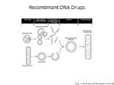 http://history.nih.gov/exhibits/genetics/sect3.htm. Recombinant DNA Drugs