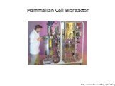 http://www.nbsc.com/ferm_eq/bf6000.asp. Mammalian Cell Bioreactor