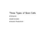 Three Types of Stem Cells Embryonic Adult/Somatic Induced Pluripotent