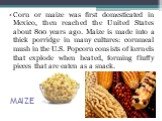 MAIZE. Corn or maize was first domesticated in Mexico, then reached the United States about 800 years ago. Maize is made into a thick porridge in many cultures: cornmeal mush in the U.S. Popcorn consists of kernels that explode when heated, forming fluffy pieces that are eaten as a snack.