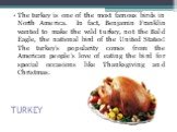 TURKEY. The turkey is one of the most famous birds in North America. In fact, Benjamin Franklin wanted to make the wild turkey, not the Bald Eagle, the national bird of the United States! The turkey's popularity comes from the American people's love of eating the bird for special occasions like Than
