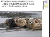 One was the death of hundreds of seals in the North Sea as a result of a pollution-related virus.