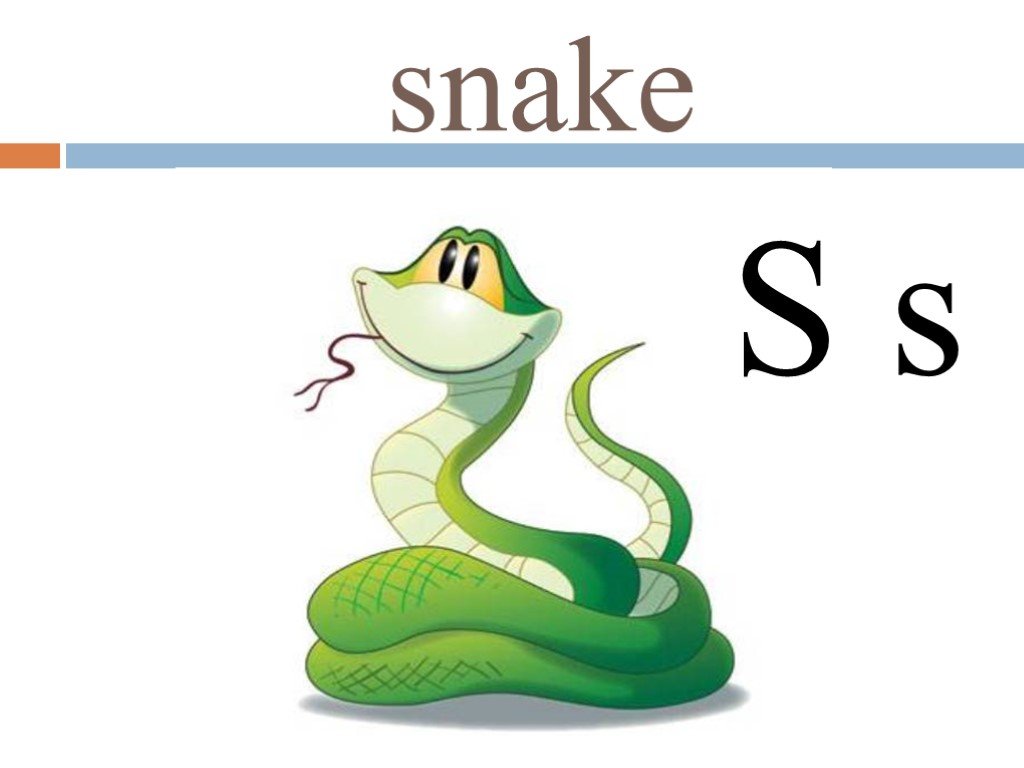 Как будет по английски змей. Английская буква s. Змея карточка на английском. Английский алфавит змейка. Змея буквой s.