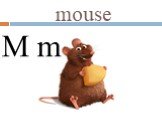 mouse M m