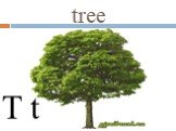 tree T t