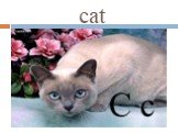 cat C c