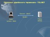 Клиент (утилита telnet). Сервер (telnetd) TELNET. Протокол удалённого терминала - TELNET
