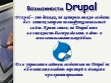 Возможности Drupal. Drupal – это движок, на котором можно создать без лишних затрат полнофункциональный сайт. Кроме этого, на Drupal есть возможность быстро сделать и одно- и многопользовательский блог. Для управления сайтом, созданным на Drupal не обязательно владеть версткой и языками программиров