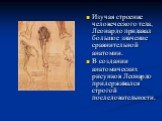 Изучая строение человеческого тела, Леонардо придавал большое значение сравнительной анатомии. В создании анатомических рисунков Леонардо придерживался строгой последовательности.