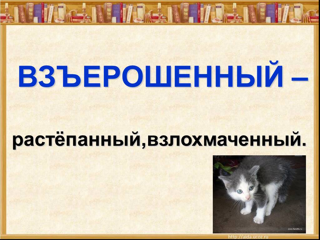 Осеева собака яростно лаяла презентация 1 класс